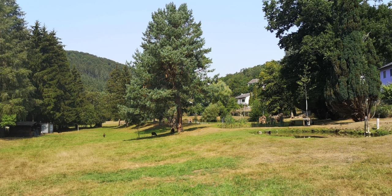 Zemmer Ferienhaus Kylltal 빌라 외부 사진