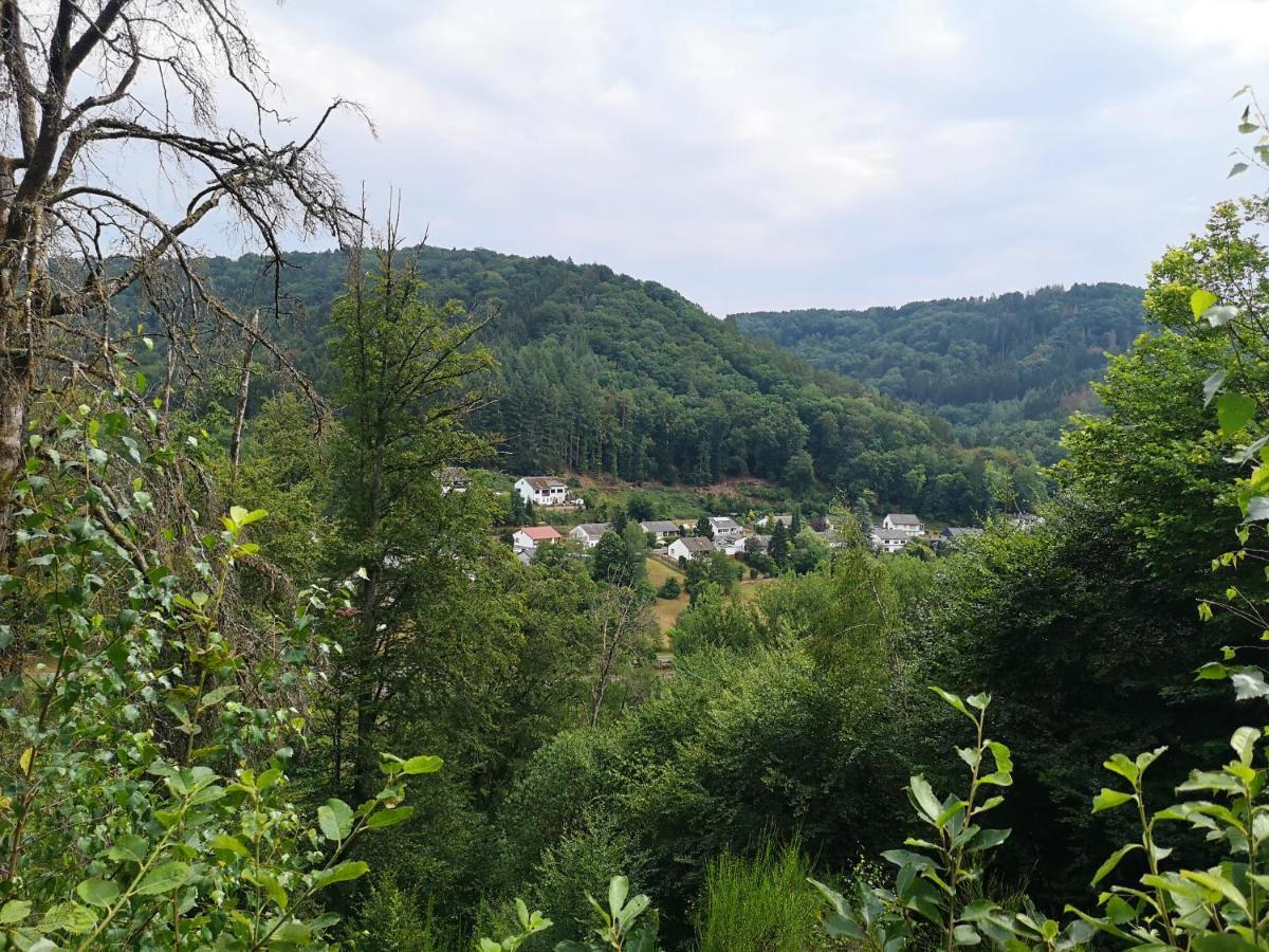 Zemmer Ferienhaus Kylltal 빌라 외부 사진